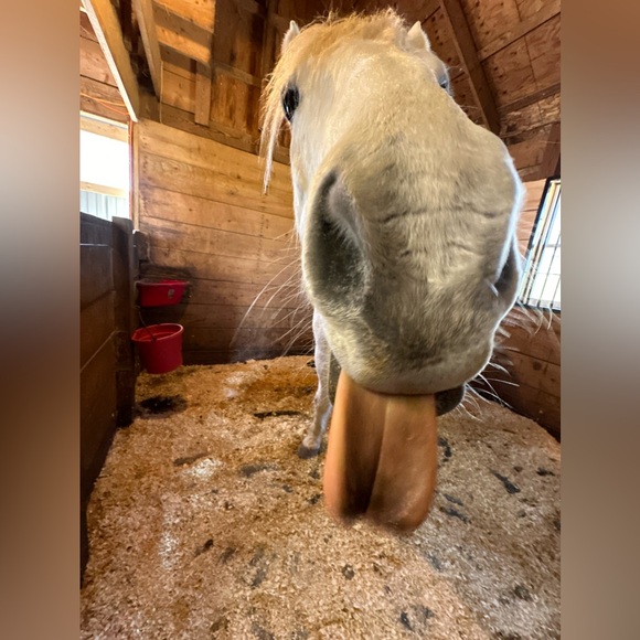 Meet your Posher, Maria - Picture 3 of 8